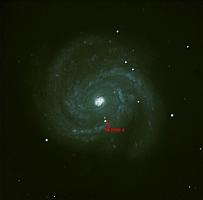 SN 2006X